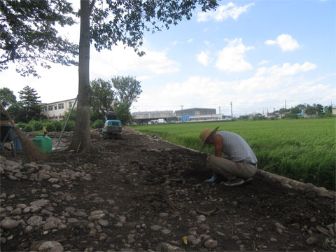 �H��~�n���̔�