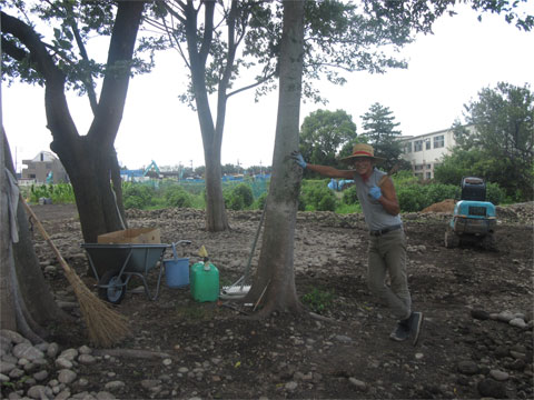 �H��~�n���̔�