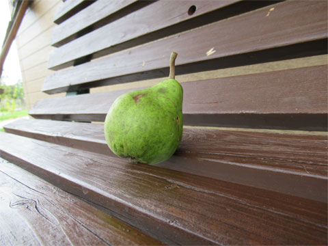 ���X�i�K�̒�