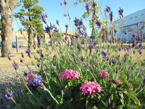 �v���X���H�H��̒�